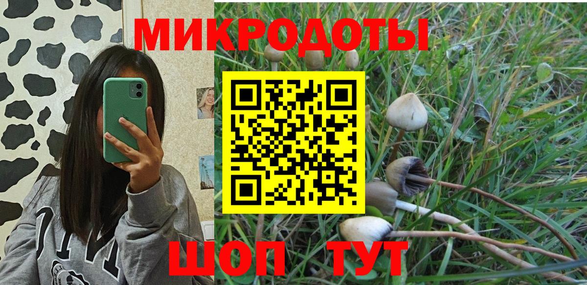 Псилоцибиновые грибы Psilocybe  Вход с VPN  Лосино-Петровский 