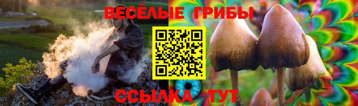 Галлюциногенные грибы Magic Shrooms Лосино-Петровский